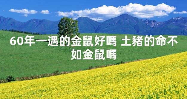 60年一遇的金鼠好嗎 土豬的命不如金鼠嗎